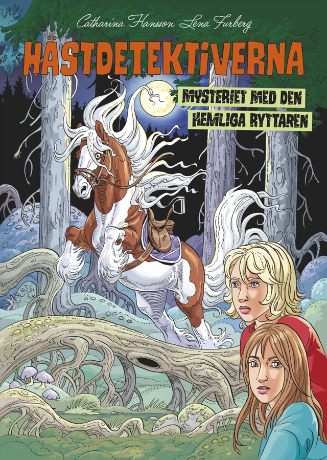 Mysteriet med den hemliga ryttaren; Catharina Hansson; 2018