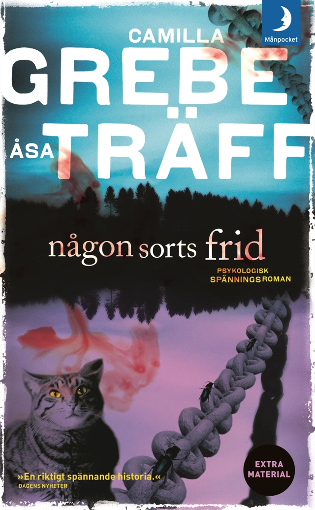 Någon sorts frid; Camilla Grebe, Åsa Träff; 2010