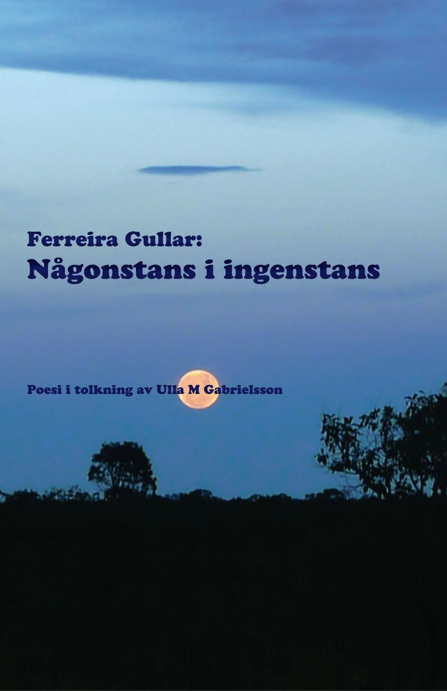 Någonstans i ingenstans; Ferreira Gullar; 2013
