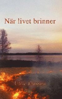 När livet brinner; Ulric Jansson; 2014