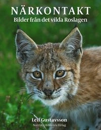 Närkontakt : bilder från det vilda Roslagen; Leif Gustavsson; 2017