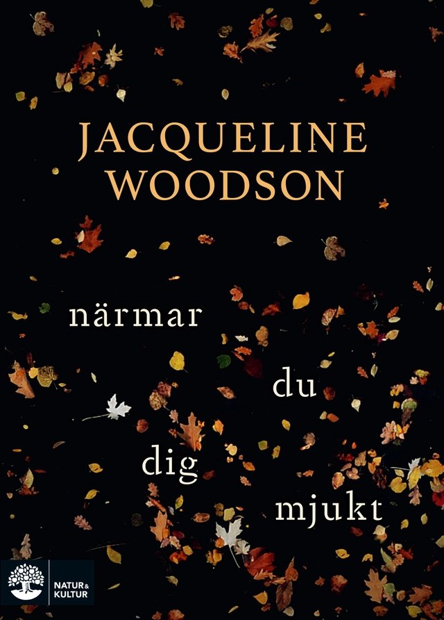 Närmar du dig mjukt; Jacqueline Woodson; 2020