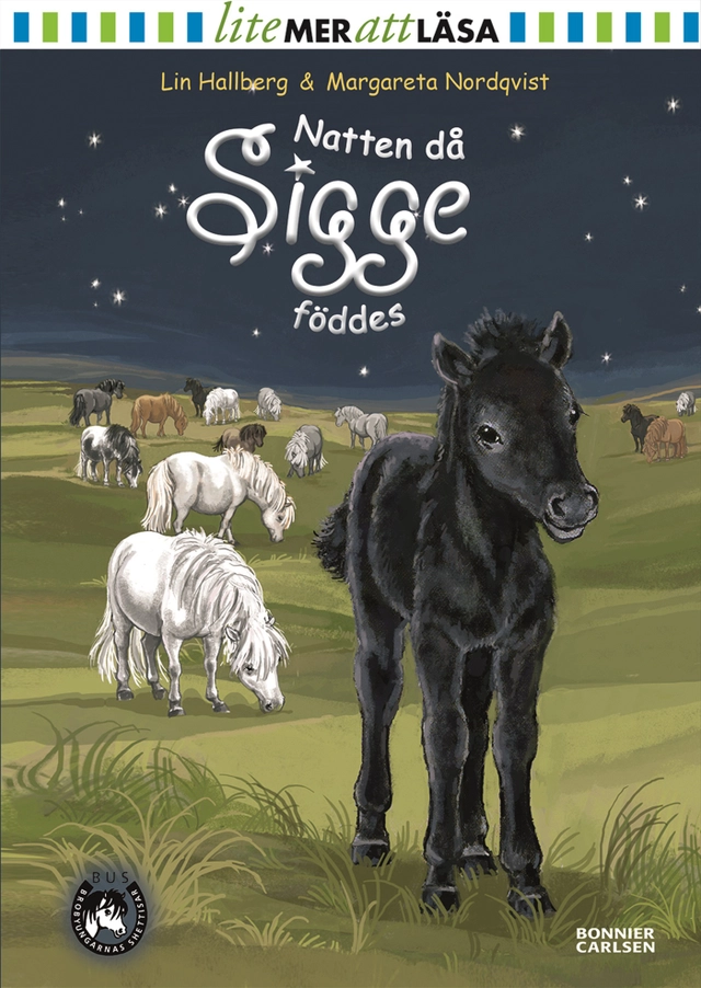 Natten då Sigge föddes; Lin Hallberg; 2015