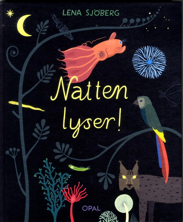 Natten lyser!; Lena Sjöberg; 2018