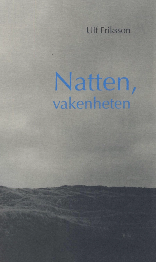 Natten, vakenheten; Ulf Eriksson; 2007