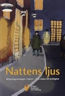 Nattens ljus : belysningsstrategier i tätort - från vision till verklighet; Helena Westholm; 2005