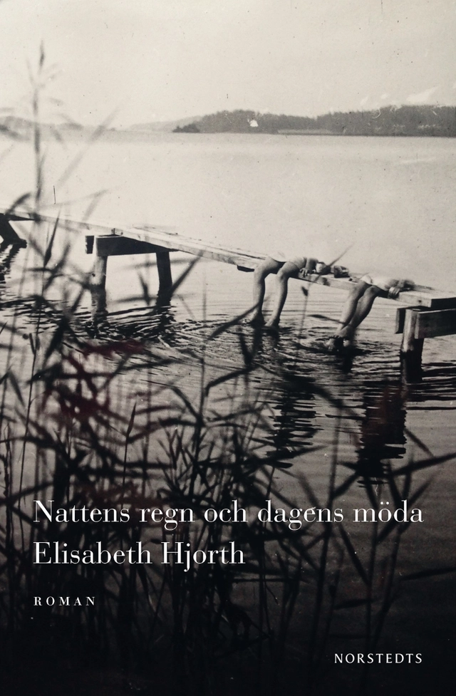 Nattens regn och dagens möda; Elisabeth Hjorth; 2017