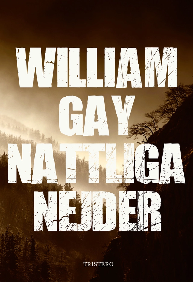 Nattliga nejder; William Gay; 2021
