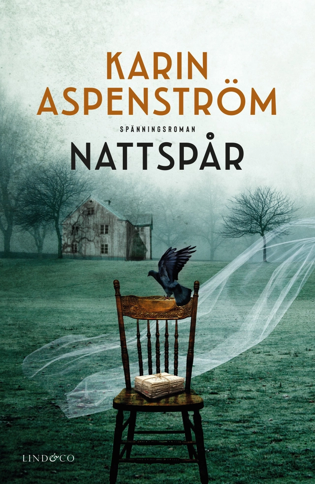 Nattspår; Karin Aspenström; 2019
