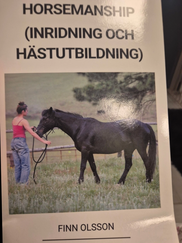 Natural horsemanship; Finn olsson; 2022