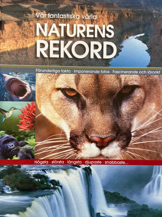 Naturens rekord : vår fantastiska värld; Aino Weber, Lisa Nilsson; 2009