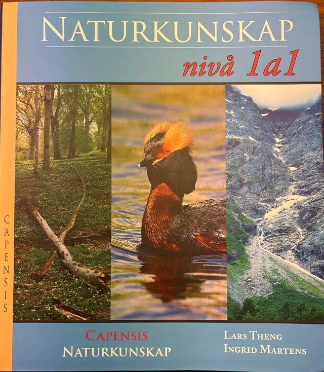 Naturkunskap · Nivå 1a1; Lars Theng; 2025