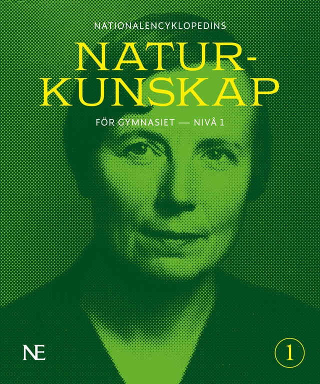 NE Naturkunskap för gymnasiet : nivå 1; Rikard Ask, David Olausson, Låtta Skogh, Bengt Svensson; 2025