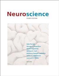 Neuroscience; Dale Purves; 2008
