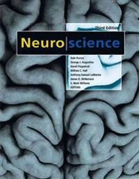 Neuroscience ; Dale Purves; 2004