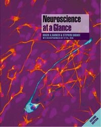 Neuroscience at a GlanceAt a Glance; Roger A. Barker, Stephen Barasi, Michael J. Neal; 2003