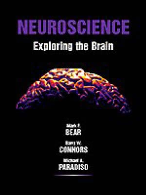 Neuroscience : exploring the brain; Mark F. Bear; 1996