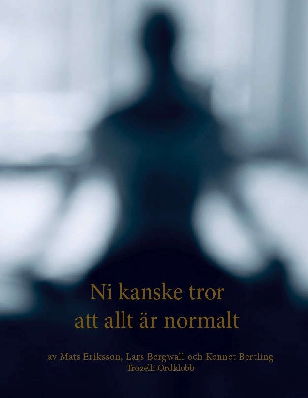 Ni kanske tror att allt är normalt; Mats Eriksson, Lars Bergwall, Kennet Bertling; 2025