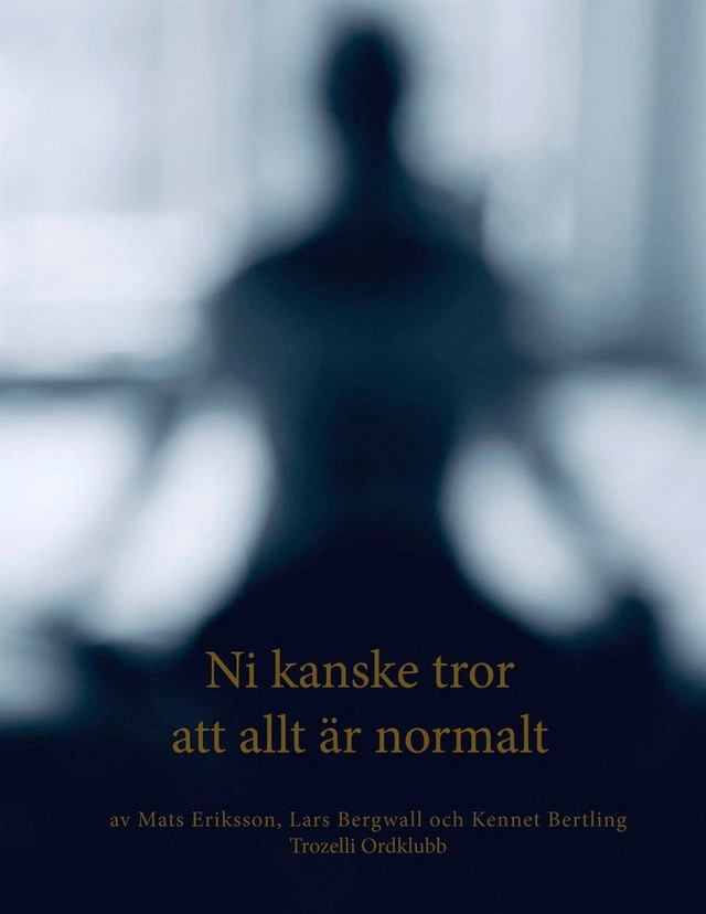 Ni kanske tror att allt är normalt; Lars Bergwall, Kennet Bertling, Mats Eriksson; 2025