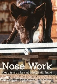 Nose Work-Det bästa du kan göra med din hund; Susanne Lindberg, Martin Johnson, Adam Hübinette; 2016