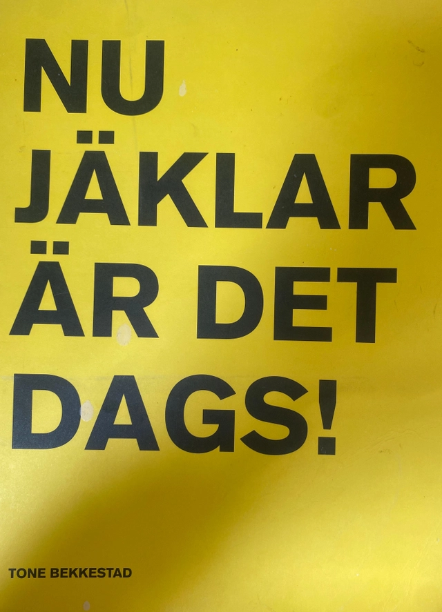 Nu jäklar är det dags!; Tone Bekkestad; 2010