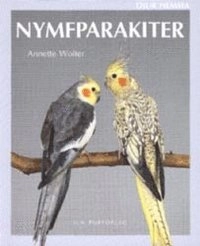 Nymfparakiter; Annette Wolter; 2004
