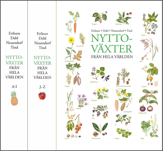 Nyttoväxter från hela världen; Bente Eriksen, Åslög Dahl, Magnus Neuendorf; 2013