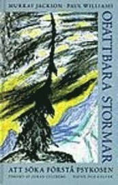Ofattbara stormar : Att söka förstå psykosen; Murray Jackson, Paul Williams; 1997