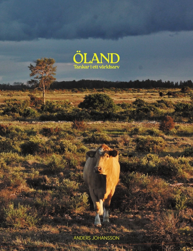 Öland, tankar i ett världsarv; Anders Johansson; 2025