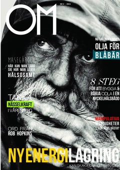 OM 2(2015); Eva Pettersson; 2015