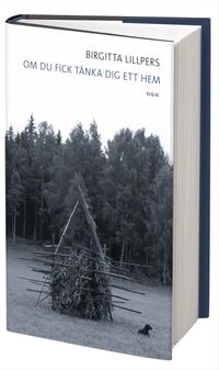 Om du fick tänka dig ett hem; Birgitta Lillpers; 2010