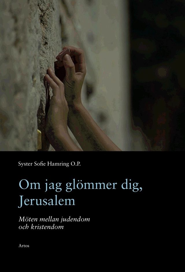Om jag glömmer dig, Jerusalem : möten mellan judendom; Sofie Hamring; 2009