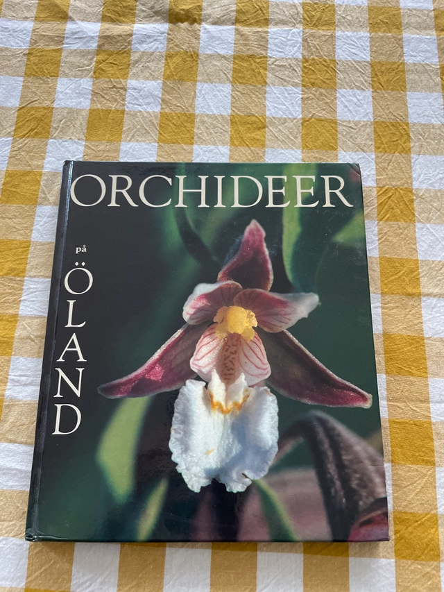 Orchideer på Öland; Karin Rusch; 2001