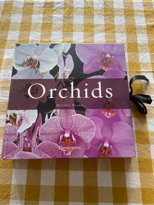 Orchids; Michel Viard; 2007