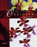Orkidéer; Susanna Rosén; 2003