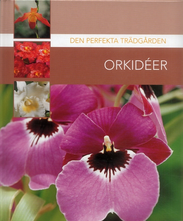 Orkidéer; Carolina Wickander; 2007