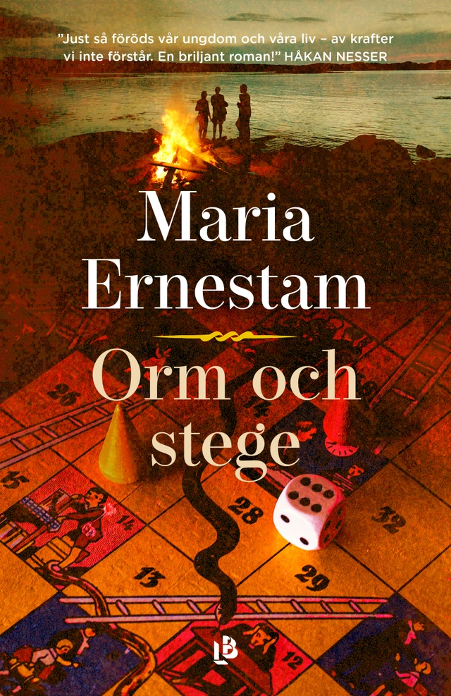 Orm och stege; Maria Ernestam; 2022