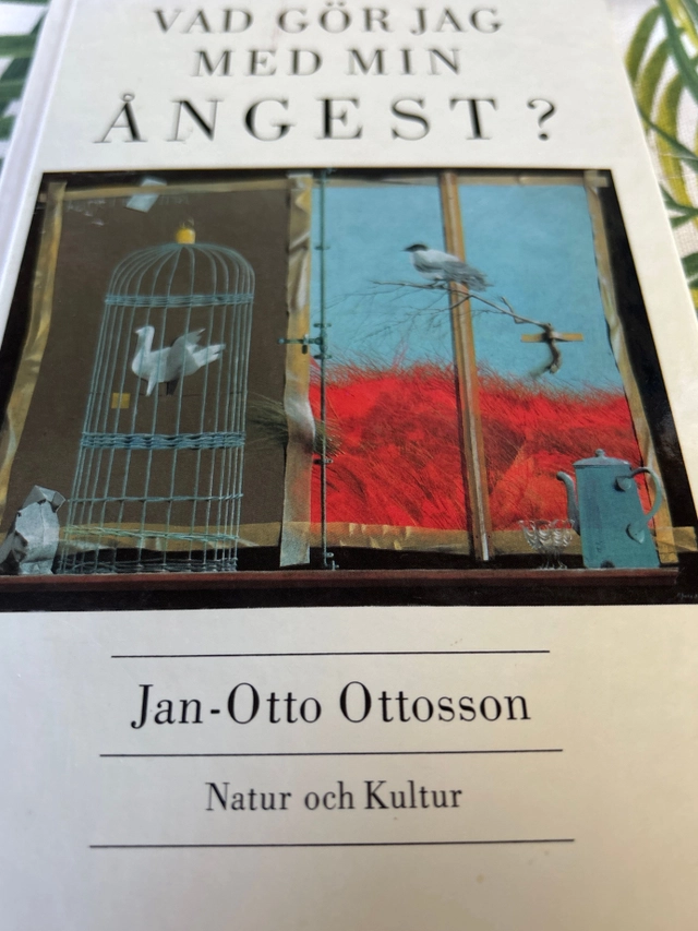 Ottosson, J/Vad gör jag med min ångest?; Jan-Otto Ottosson; 1993