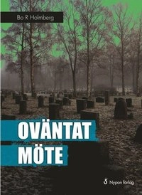 Oväntat möte; Bo R. Holmberg; 2012