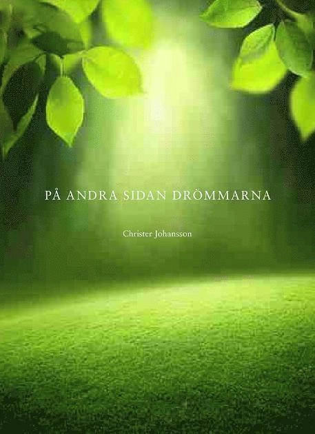 På andra sidan drömmarna; Christer Johansson; 2014