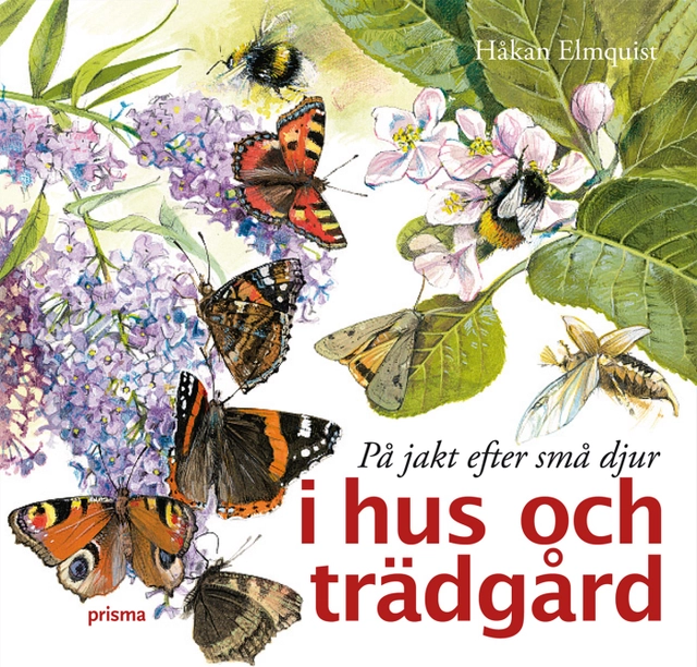 På jakt efter små djur i hus och trädgård; Håkan Elmquist; 2009