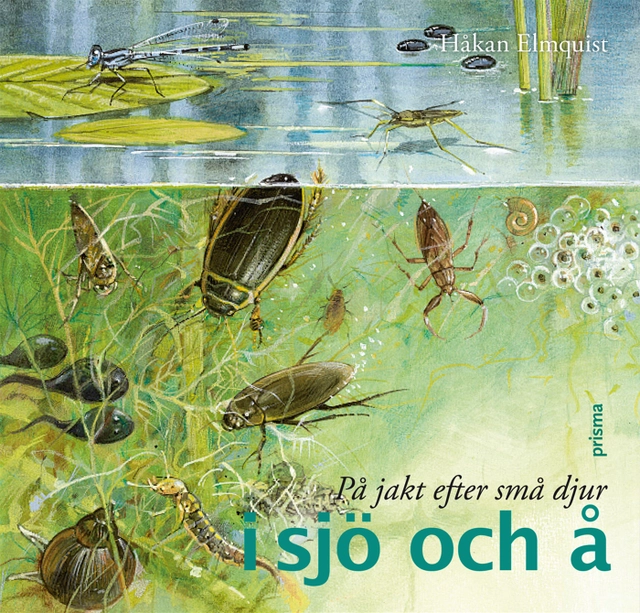 På jakt efter små djur i sjö och å; Håkan Elmquist; 2009