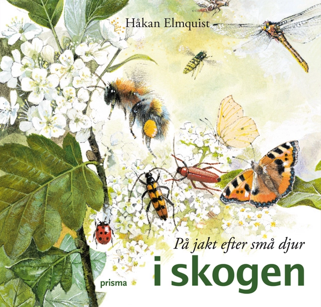På jakt efter små djur i skogen; Håkan Elmquist; 2009