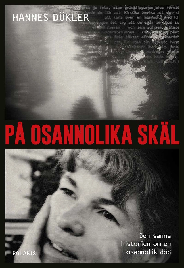 På osannolika skäl; Hannes Dükler; 2019