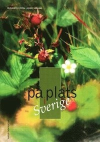 På plats i Sverige; Elisabeth Ström, Jenny Uddling; 2002