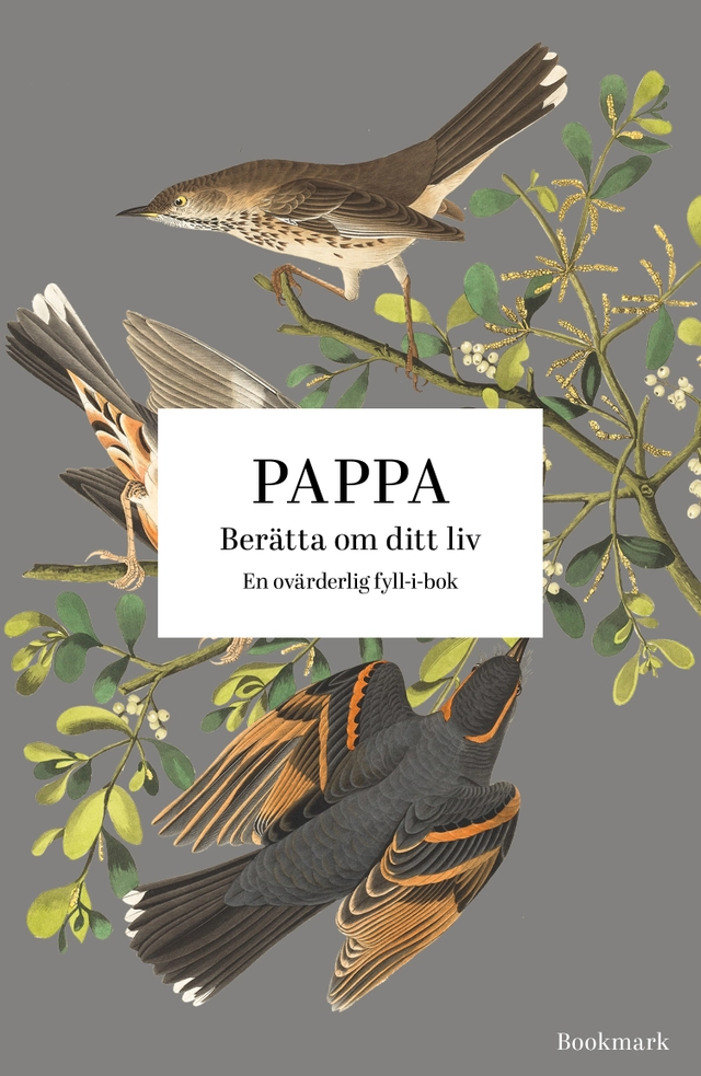 Pappa : berätta om ditt liv; Josefine Bergkvist, Louise Eriksson; 2023