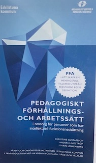 Pedagogiskt förhållnings- och arbetssätt i omsorg för personer som har intellektuell funktionsnedsättning : att skapa en meningsfull tillvaro utifrån personens egen definition; Christine Gustafsson; 2015
