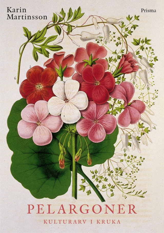 Pelargoner; Karin Martinsson; 2000