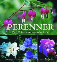 Perenner : de 125 bästa sorterna från A-Ö; Lisa Winnerlid; 2008