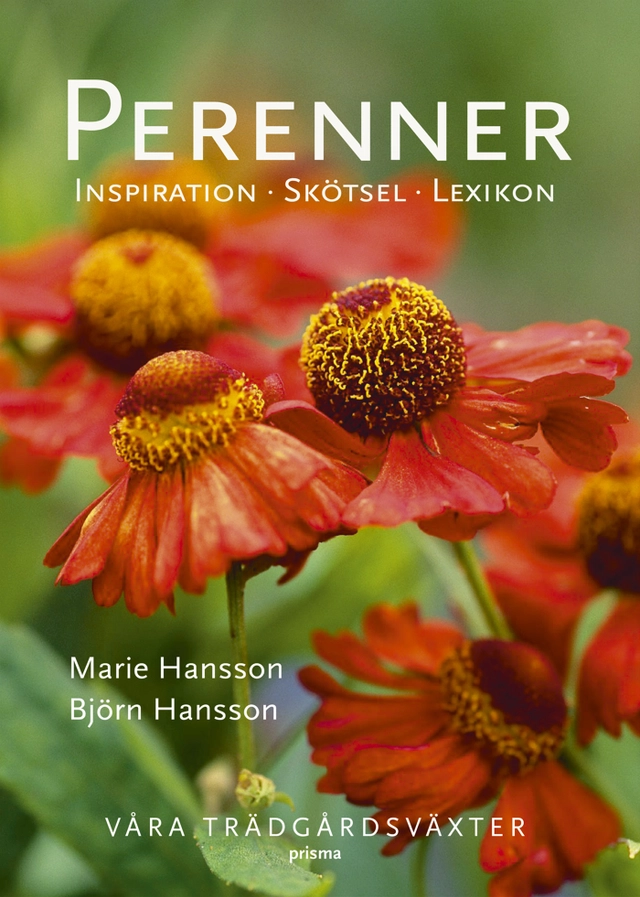 Perenner : våra  trädgårdsväxter; Marie Hansson; 2007